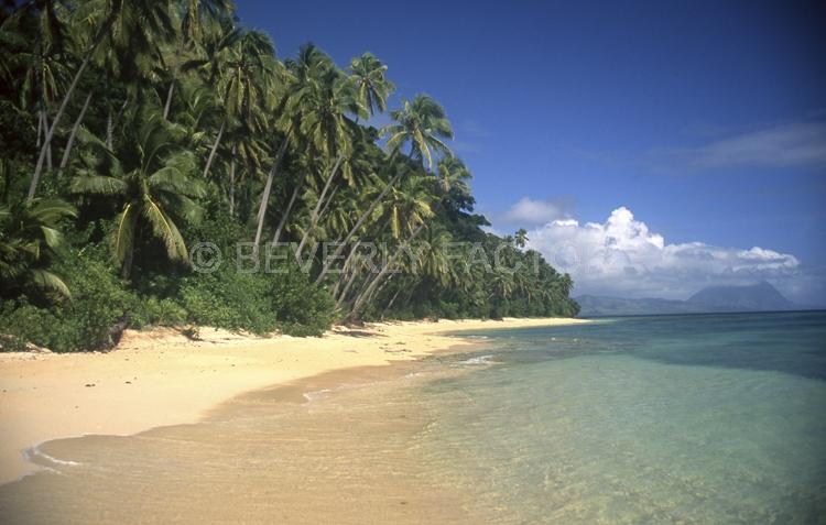 Islands;Fiji;palm trees;blue sky;blue water;sand